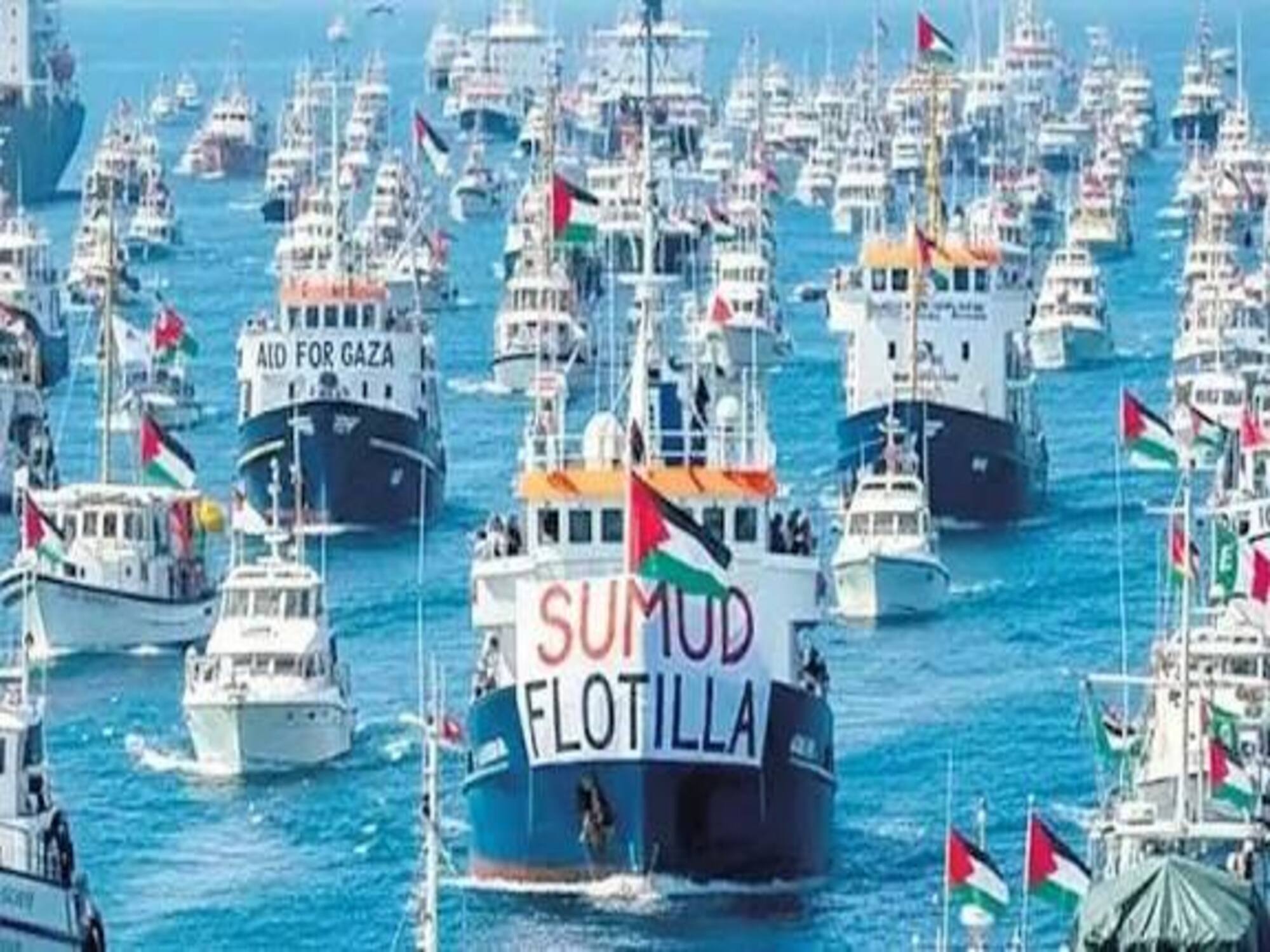 Deniz ve kıyı… Suyun sınırını çizen incecik kum, kumlar arasındaki binbir canlı…