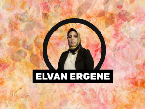 Elleri kınalı yanakları al,Tütün yaprakları gibi bal,Şalvarı pullu gömleği işlemeli.Sevda